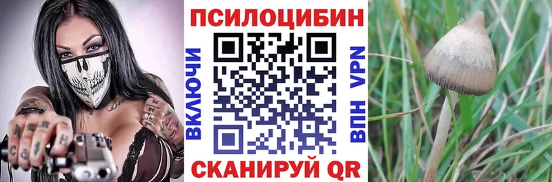 Псилоцибиновые грибы прущие грибы Юрга