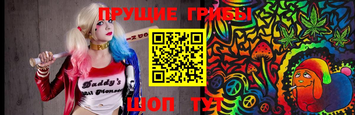 Псилоцибиновые грибы Psilocybe Юрга